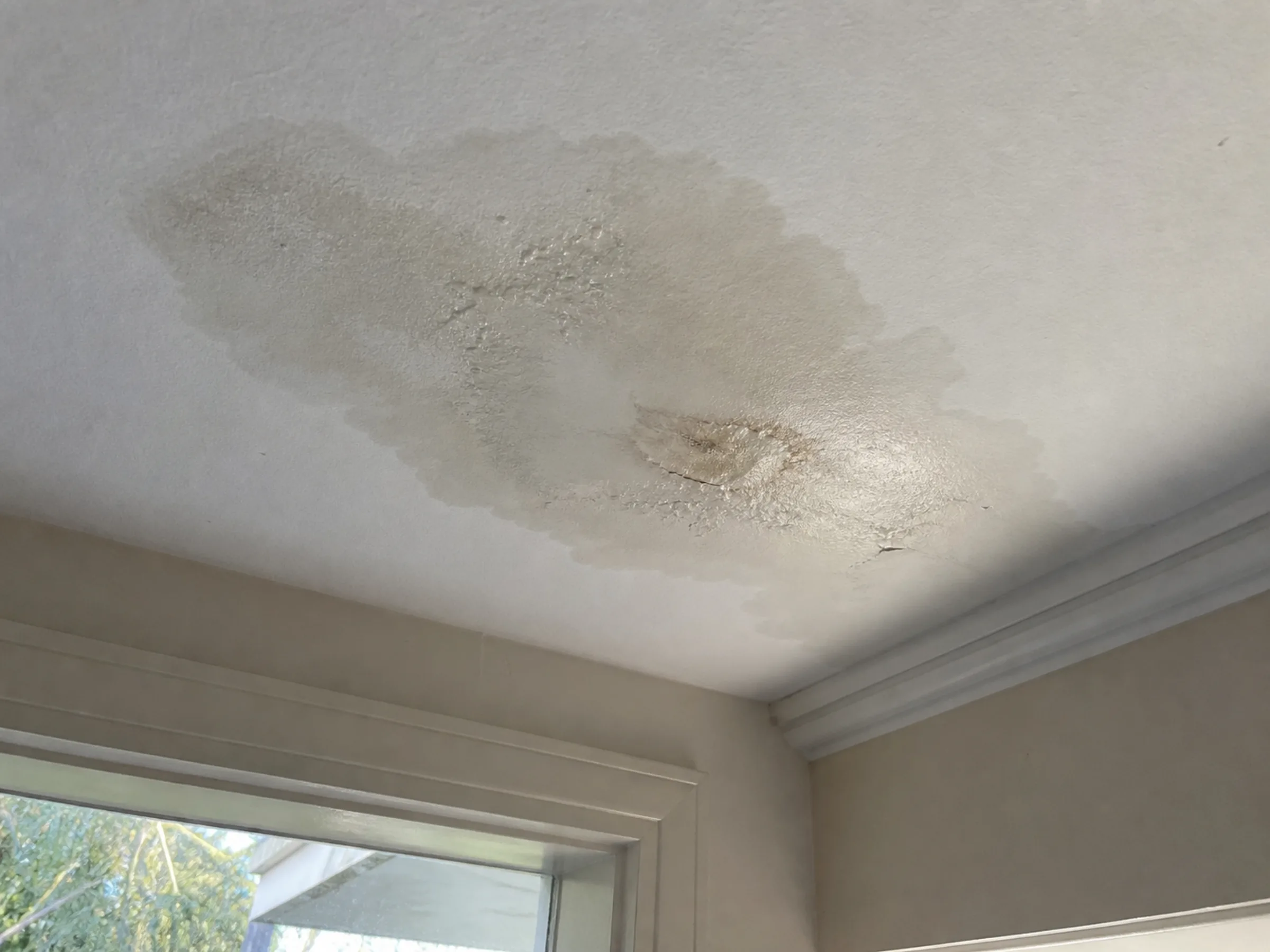 A water-damaged ceiling inside the property